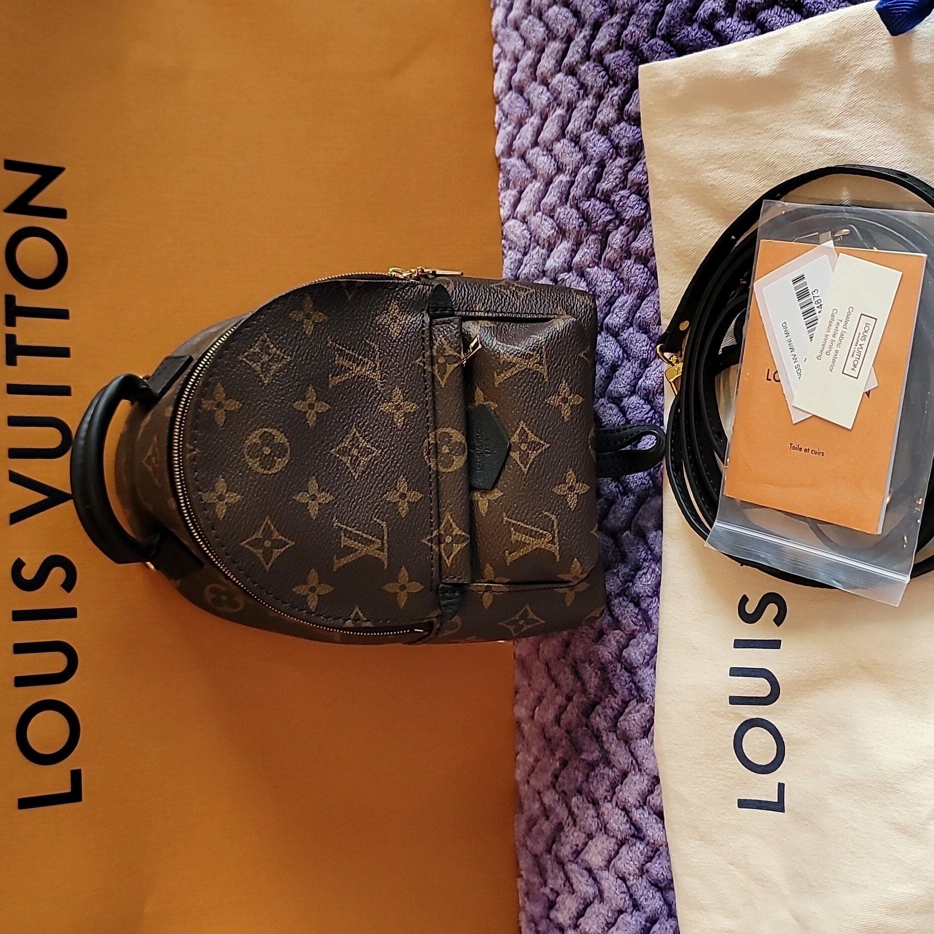 Louis Vuitton Mini Palm Springs Backpack Monogram Flower New Tags Louis Vuitton Mini Monogram Palm Springs Backpack - Ann main image 4